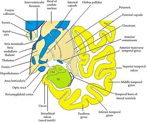 Temporal Side Channels I 